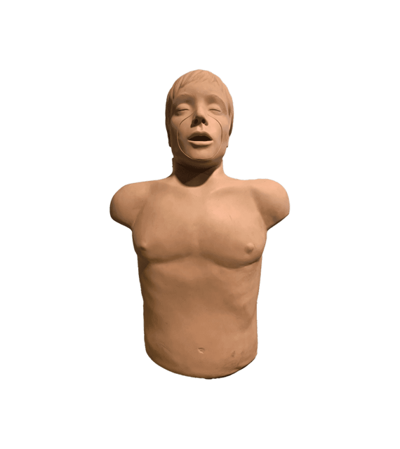  CPR Training Manikin